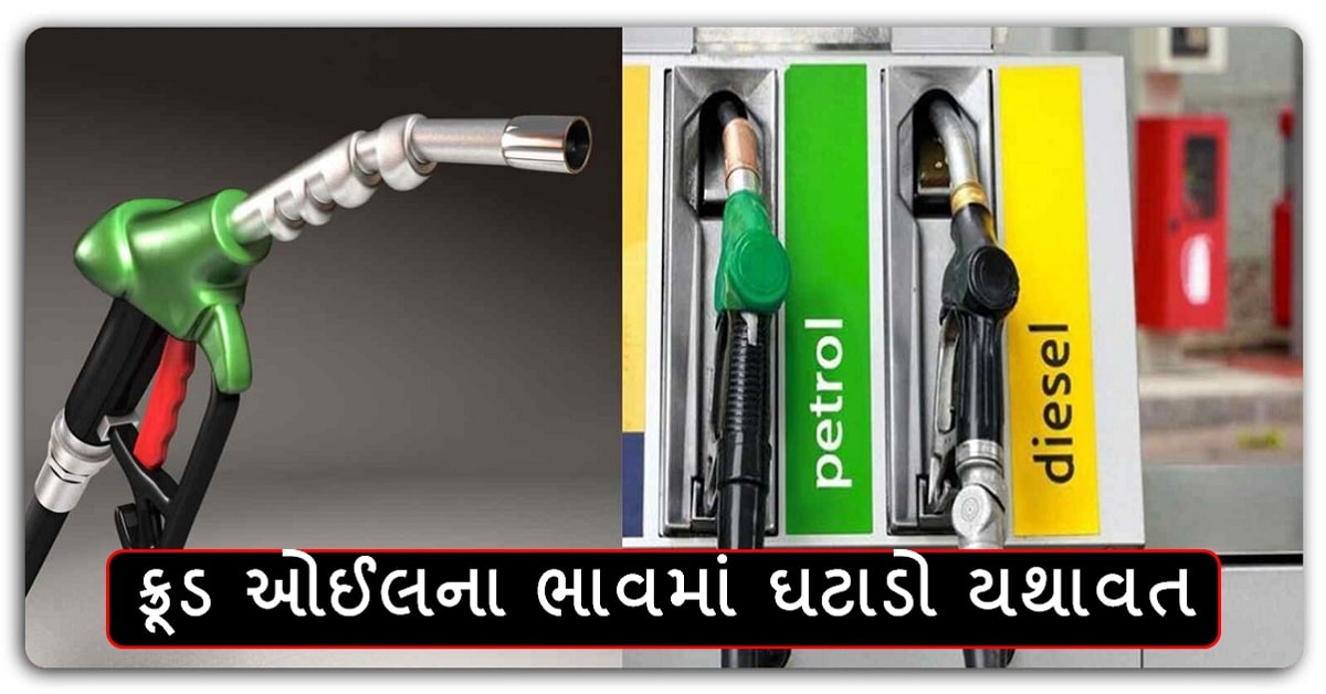 Petrol Diesel Price Today : ક્રૂડ ઓઈલના ભાવમાં ઘટાડો યથાવત, જાણો પેટ્રોલ-ડીઝલ સસ્તુ થયુ કે મોંઘુ ….